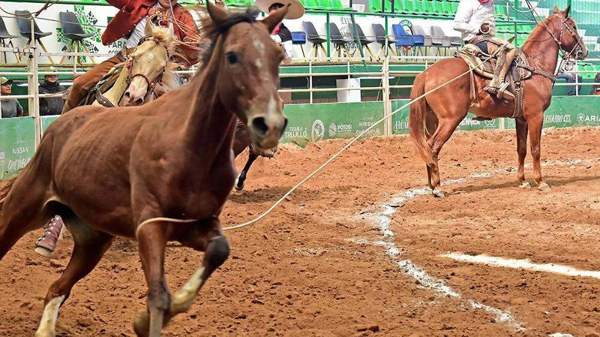 charro (1)